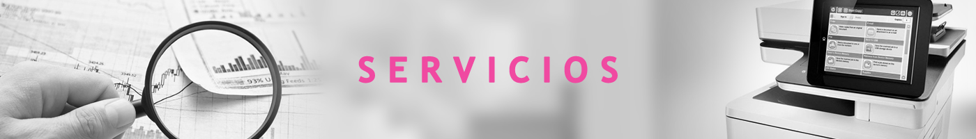 Servicios